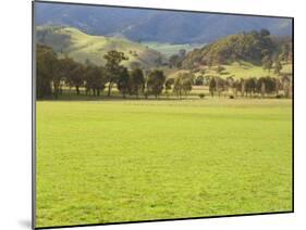 Pasture, Biggara Valley, Victoria, Australia-Jochen Schlenker-Mounted Photographic Print