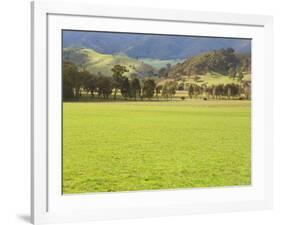 Pasture, Biggara Valley, Victoria, Australia-Jochen Schlenker-Framed Photographic Print