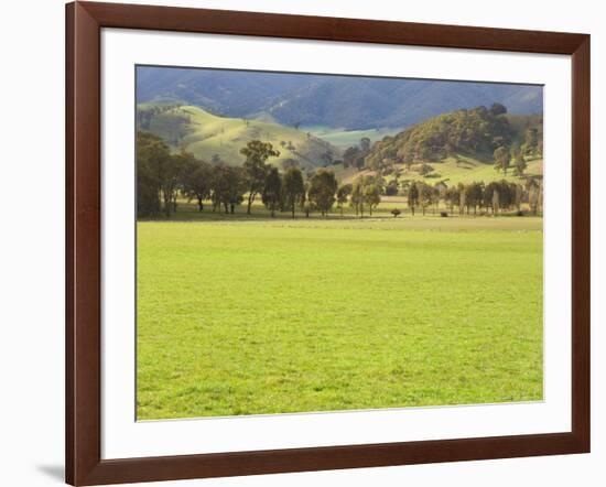 Pasture, Biggara Valley, Victoria, Australia-Jochen Schlenker-Framed Photographic Print