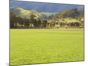 Pasture, Biggara Valley, Victoria, Australia-Jochen Schlenker-Mounted Photographic Print