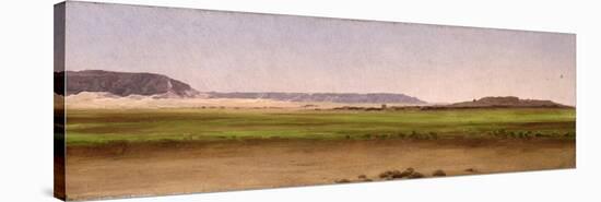 Pasture, Egypt, 1868-Frederic Leighton-Stretched Canvas