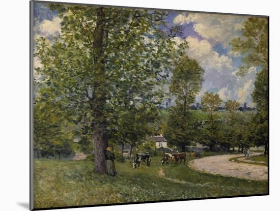 Pasture Ground with Cows Near Louveciennes, 1874-Alfred Sisley-Mounted Giclee Print