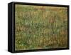 Pasture in Bloom, 1887-Vincent van Gogh-Framed Stretched Canvas