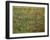 Pasture in Bloom, 1887-Vincent van Gogh-Framed Giclee Print