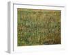 Pasture in Bloom, 1887-Vincent van Gogh-Framed Giclee Print