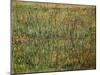 Pasture in Bloom, 1887-Vincent van Gogh-Mounted Giclee Print