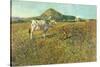 Pasture in Pietramala-Telemaco Signorini-Stretched Canvas
