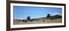 Pasture in the Mountains-Raffaello Sernesi-Framed Giclee Print