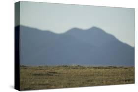 Pasture Land-DLILLC-Stretched Canvas