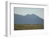 Pasture Land-DLILLC-Framed Photographic Print