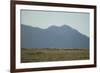 Pasture Land-DLILLC-Framed Photographic Print