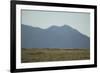 Pasture Land-DLILLC-Framed Photographic Print