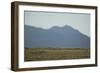 Pasture Land-DLILLC-Framed Photographic Print