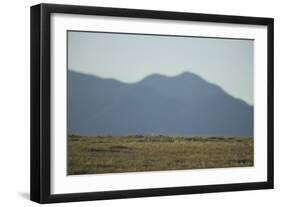 Pasture Land-DLILLC-Framed Photographic Print