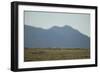 Pasture Land-DLILLC-Framed Photographic Print