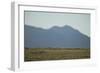 Pasture Land-DLILLC-Framed Photographic Print