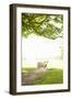 Pasture Sheep III-Karyn Millet-Framed Photographic Print