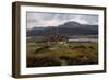 Pasture with goats-Gerhard Peter Frantz Vilhelm Munthe-Framed Giclee Print