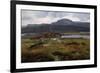 Pasture with goats-Gerhard Peter Frantz Vilhelm Munthe-Framed Giclee Print