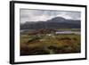 Pasture with goats-Gerhard Peter Frantz Vilhelm Munthe-Framed Giclee Print