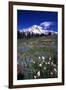 Pasture-null-Framed Photographic Print