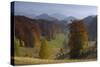 Pastures and Forest Covered Hills, Piatra Craiului Np, Southern Carpathian Mountains, Romania-Dörr-Stretched Canvas