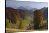 Pastures and Forest Covered Hills, Piatra Craiului Np, Southern Carpathian Mountains, Romania-Dörr-Stretched Canvas