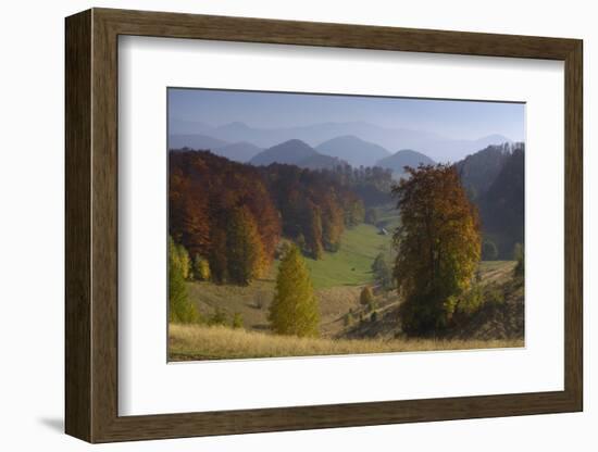 Pastures and Forest Covered Hills, Piatra Craiului Np, Southern Carpathian Mountains, Romania-Dörr-Framed Photographic Print