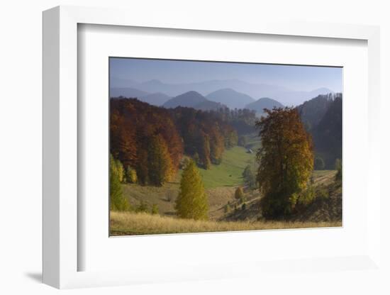 Pastures and Forest Covered Hills, Piatra Craiului Np, Southern Carpathian Mountains, Romania-Dörr-Framed Photographic Print