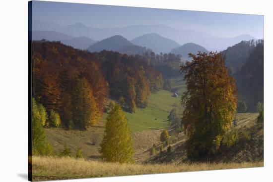 Pastures and Forest Covered Hills, Piatra Craiului Np, Southern Carpathian Mountains, Romania-Dörr-Stretched Canvas