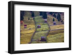 Pastures, Bucovina, Romania-Art Wolfe Wolfe-Framed Photographic Print