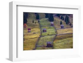 Pastures, Bucovina, Romania-Art Wolfe Wolfe-Framed Photographic Print