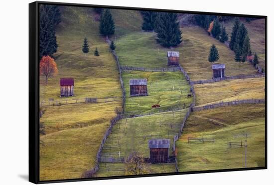 Pastures, Bucovina, Romania-Art Wolfe Wolfe-Framed Stretched Canvas