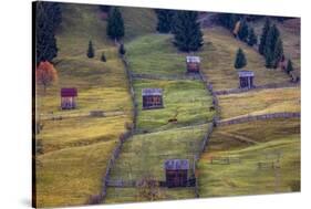 Pastures, Bucovina, Romania-Art Wolfe Wolfe-Stretched Canvas