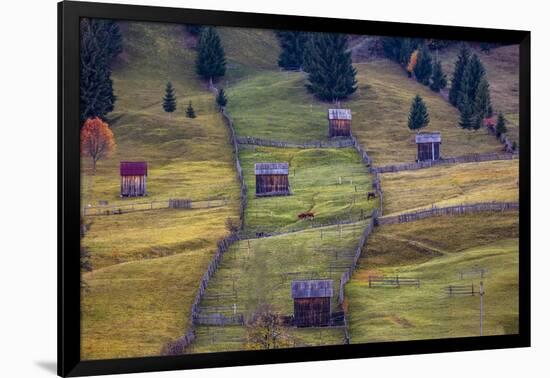 Pastures, Bucovina, Romania-Art Wolfe Wolfe-Framed Photographic Print
