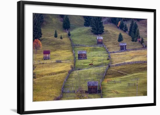 Pastures, Bucovina, Romania-Art Wolfe Wolfe-Framed Photographic Print