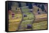 Pastures, Bucovina, Romania-Art Wolfe Wolfe-Framed Stretched Canvas