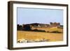 Pastures in Castiglioncello, 1861-Telemaco Signorini-Framed Giclee Print