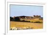 Pastures in Castiglioncello, 1861-Telemaco Signorini-Framed Giclee Print