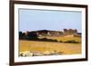 Pastures in Castiglioncello, 1861-Telemaco Signorini-Framed Giclee Print