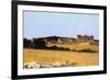 Pastures in Castiglioncello, 1861-Telemaco Signorini-Framed Giclee Print