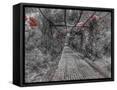 Canvas Black