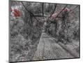 Wood Mount