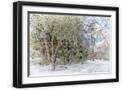 Black Frame