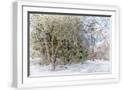 White Frame