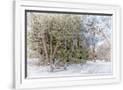 Gramercy White
