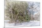 Wood Mount