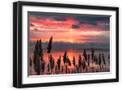 Black Frame