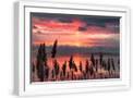 White Frame