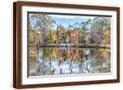 Brown Frame